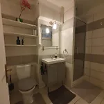 La Loge Du Vieux 4* ליון