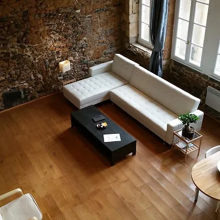 La Loge Du Vieux 4* Lione