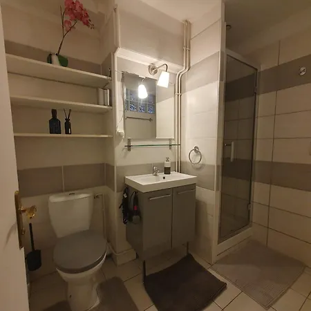 La Loge Du Vieux 4* Lione