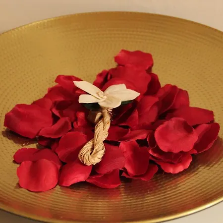 La Loge Du Vieux Λυών